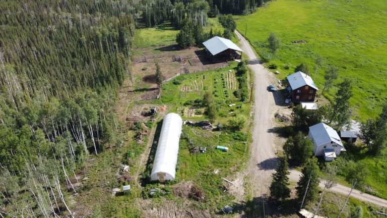 aerial shot
