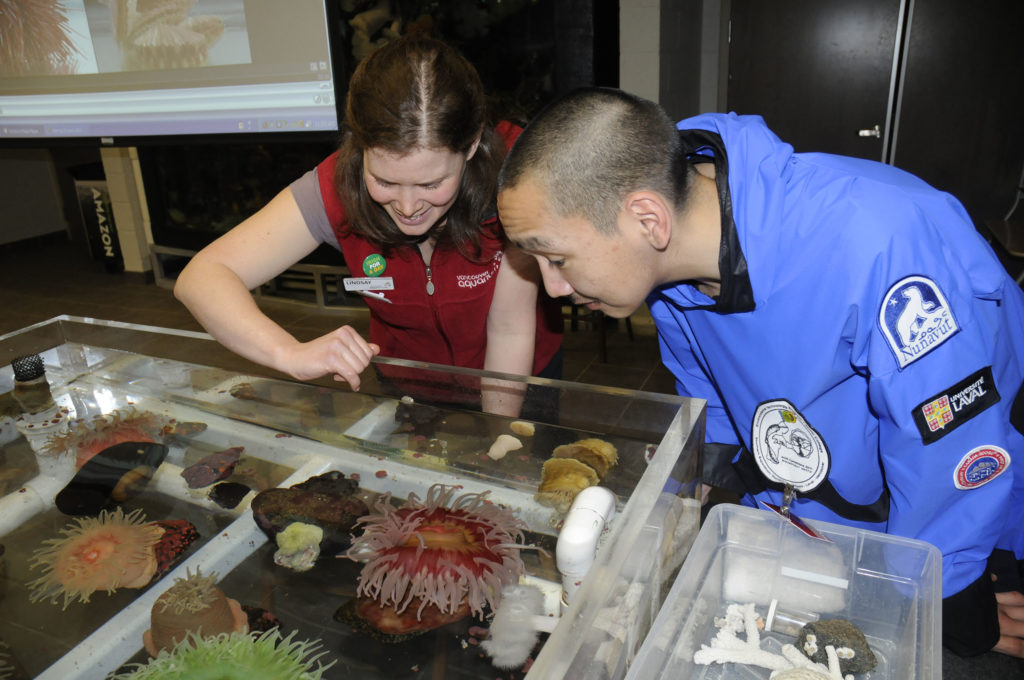 Scientists looking at marine life